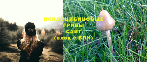 герыч Вяземский