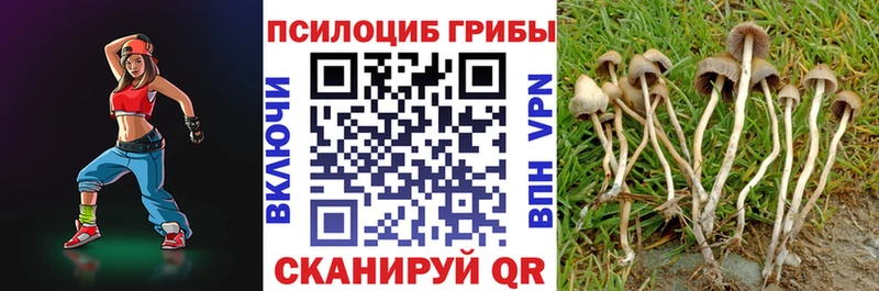 omg зеркало  Невель  Галлюциногенные грибы прущие грибы 